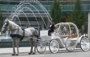 Cinderella #10 at Fountains