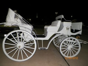 Schwartz Carriage
